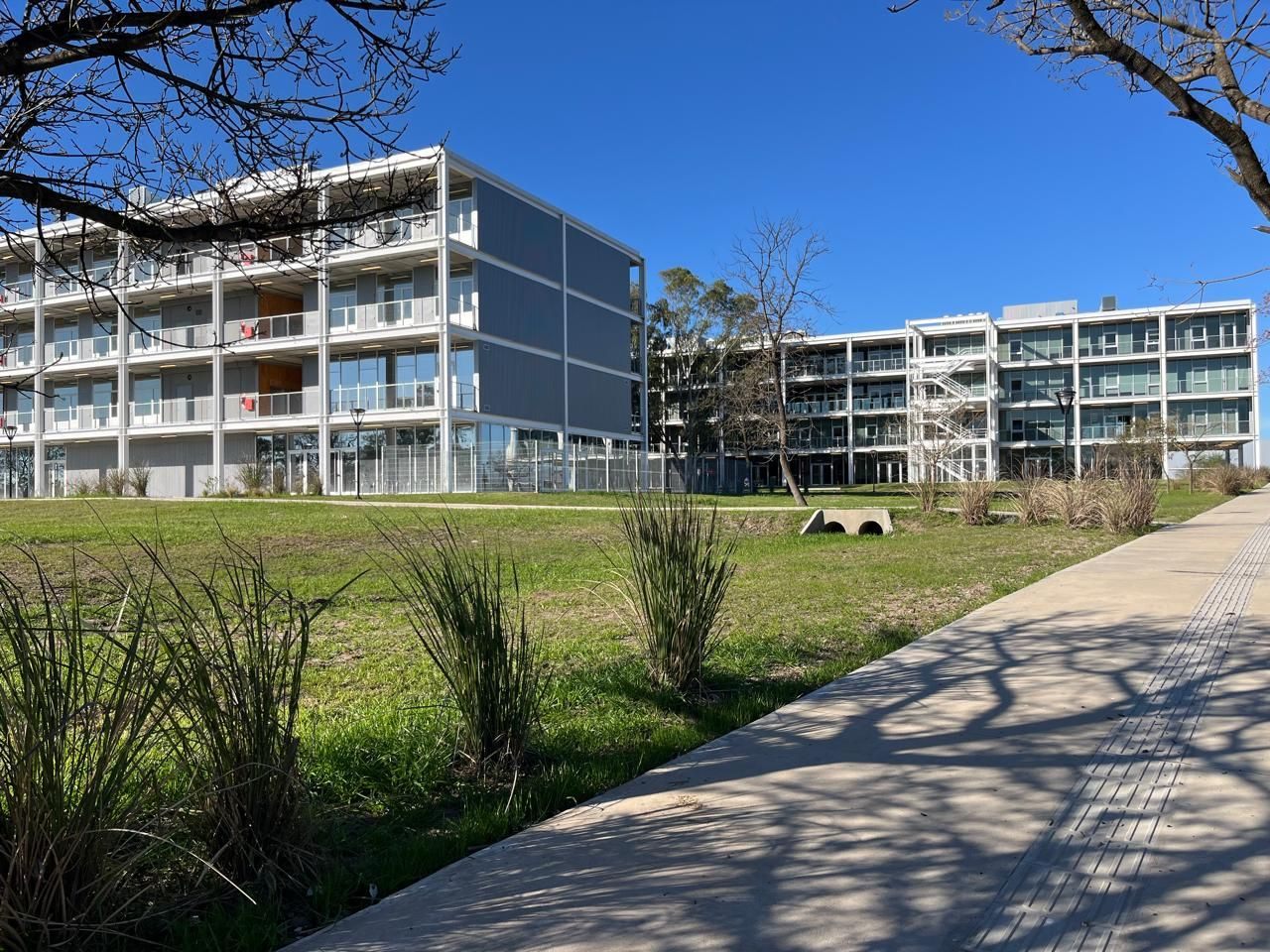 Parque Roca, Nepo